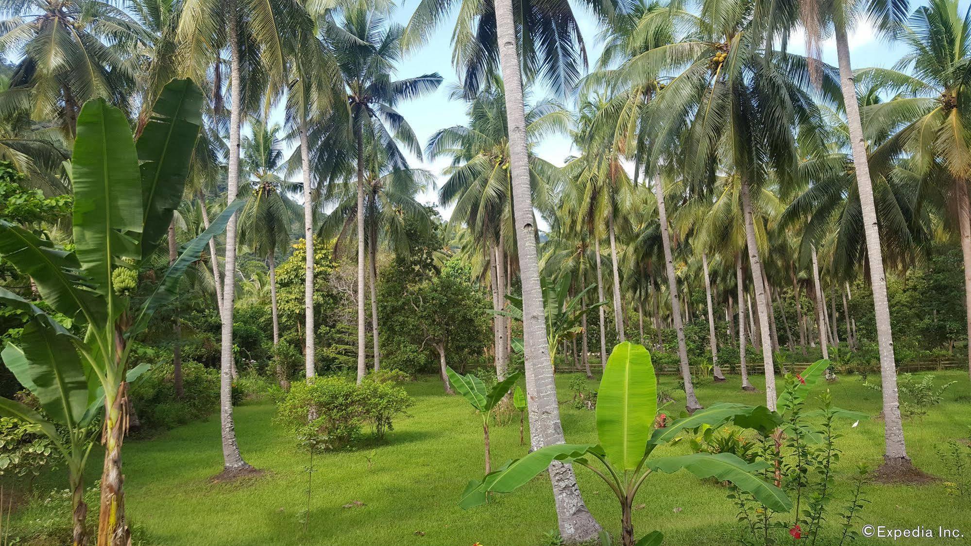 Mangrove Resort Puerto Princesa Exteriör bild