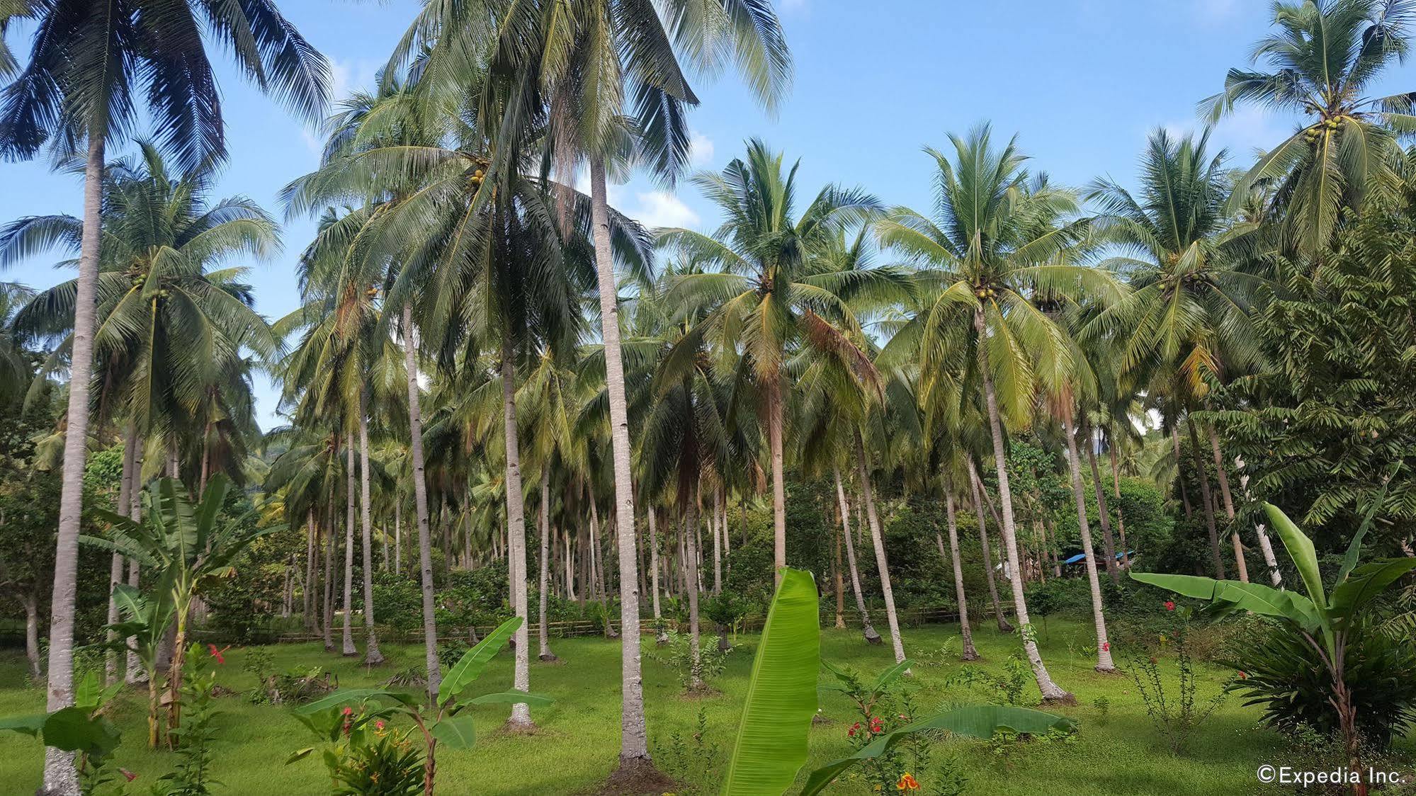 Mangrove Resort Puerto Princesa Exteriör bild